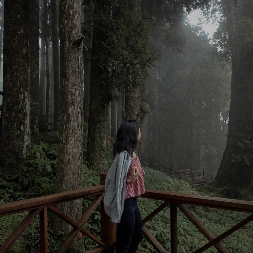 阿里山國家森林遊樂區 | 去趣 chicTrip