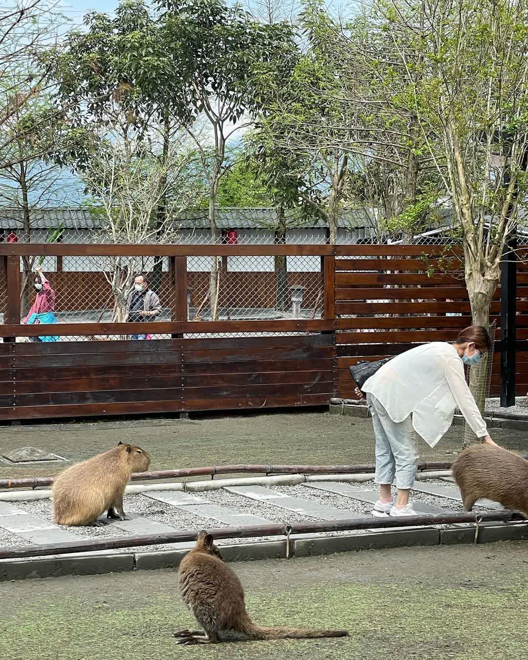 張美阿嬤農場（月森甯手作工坊） | 去趣 chicTrip