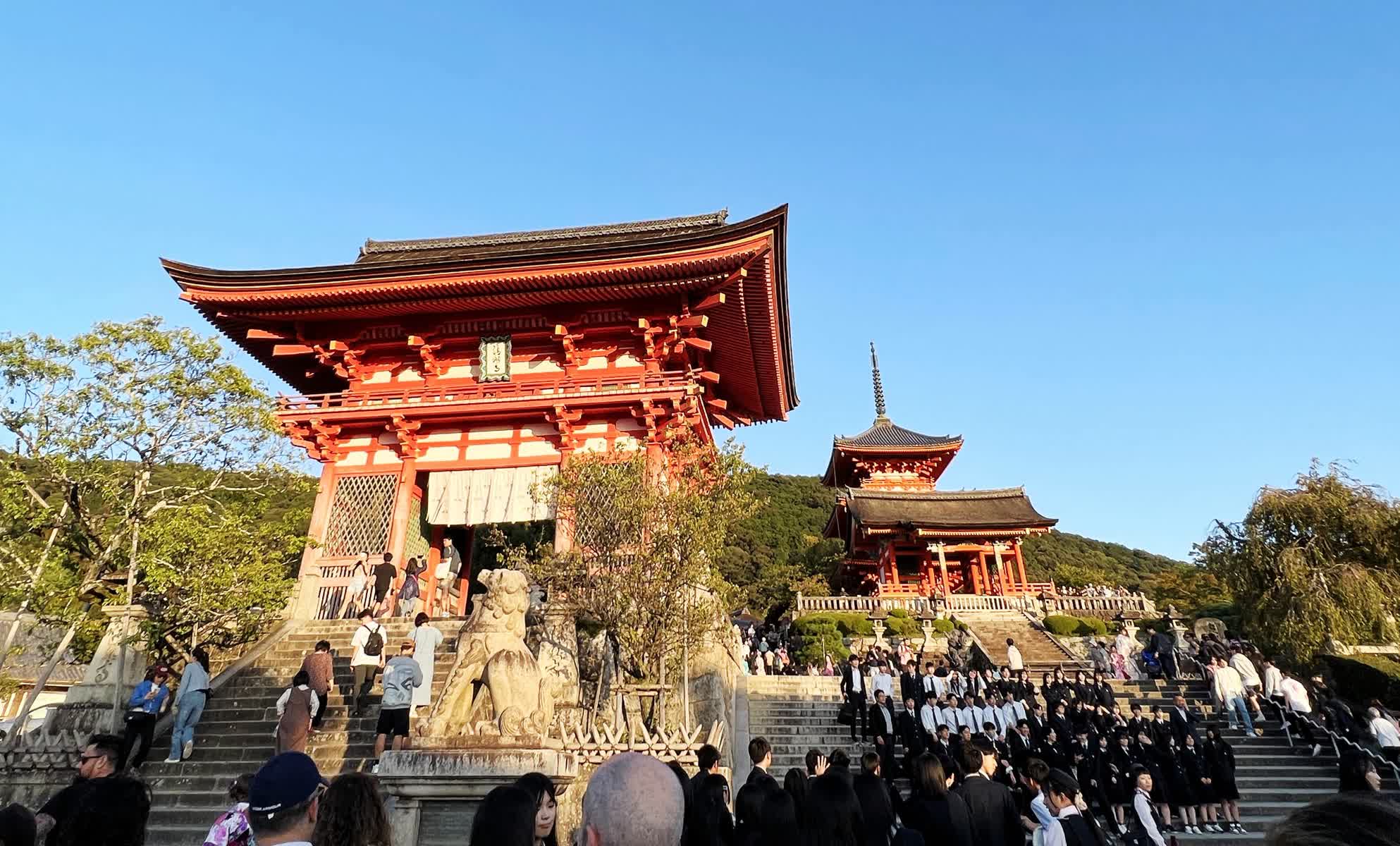 清水寺 | 去趣 chicTrip