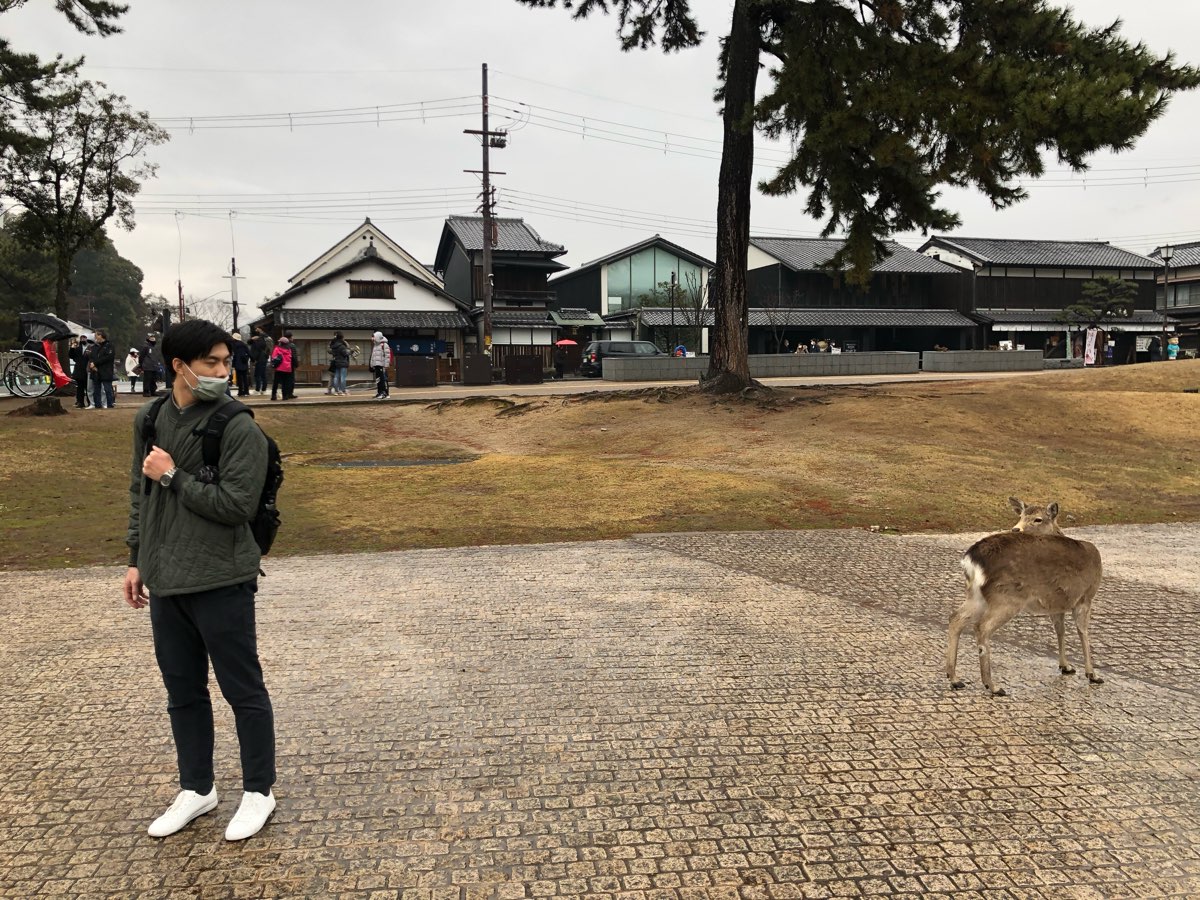 奈良公園 | 去趣 chicTrip