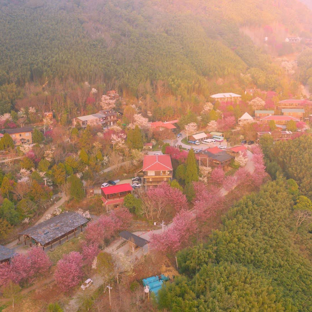 司馬庫斯 | 去趣 chicTrip