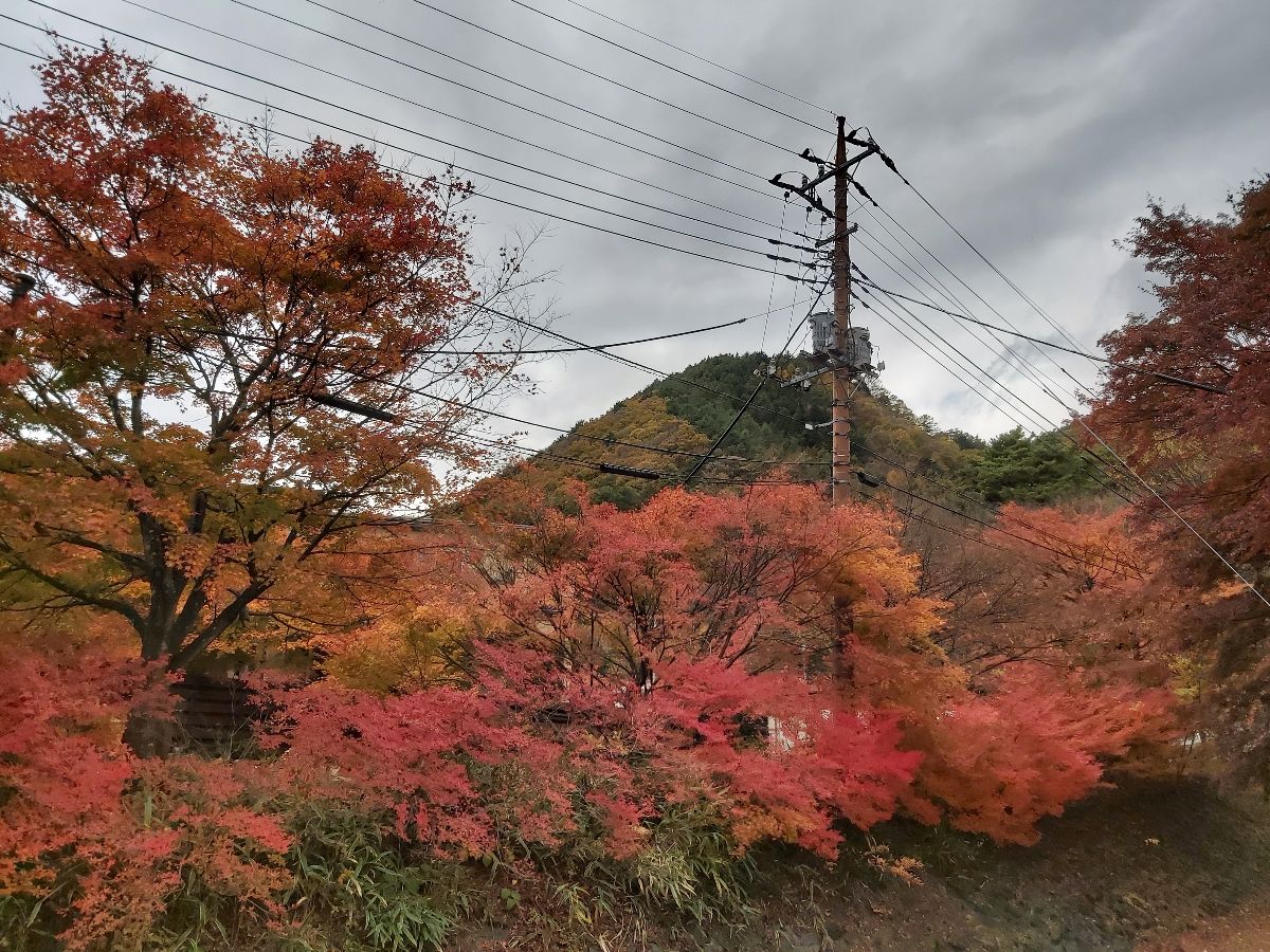 河口湖楓葉迴廊 | 去趣 chicTrip