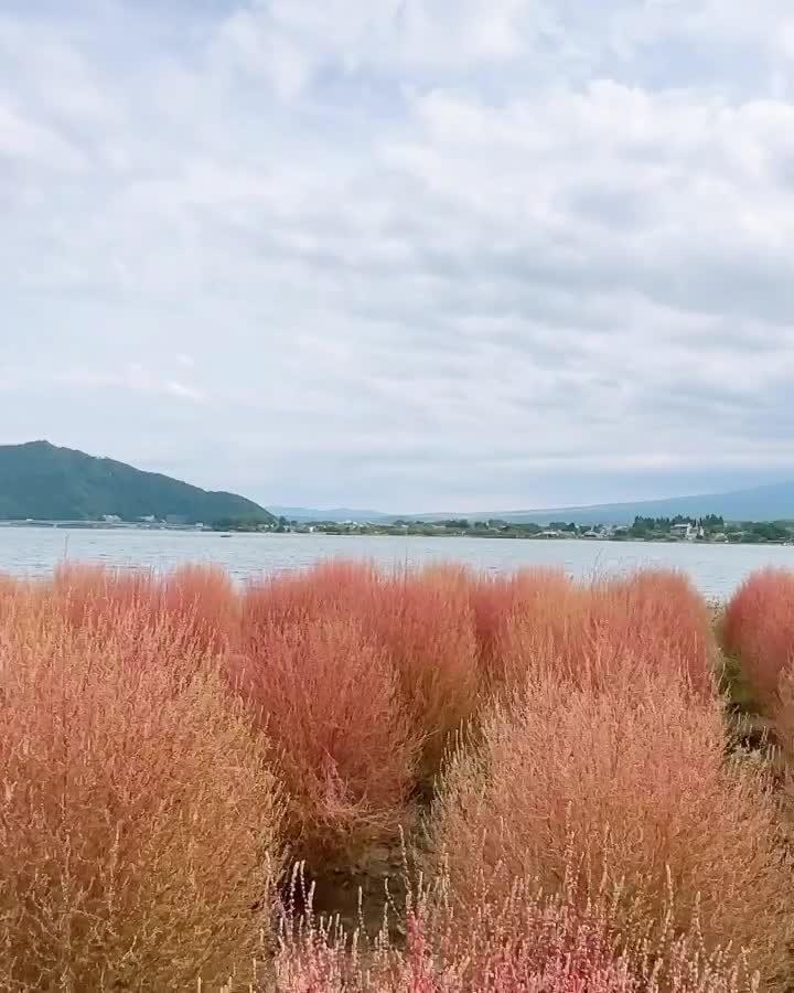 大石公園 | 去趣 chicTrip