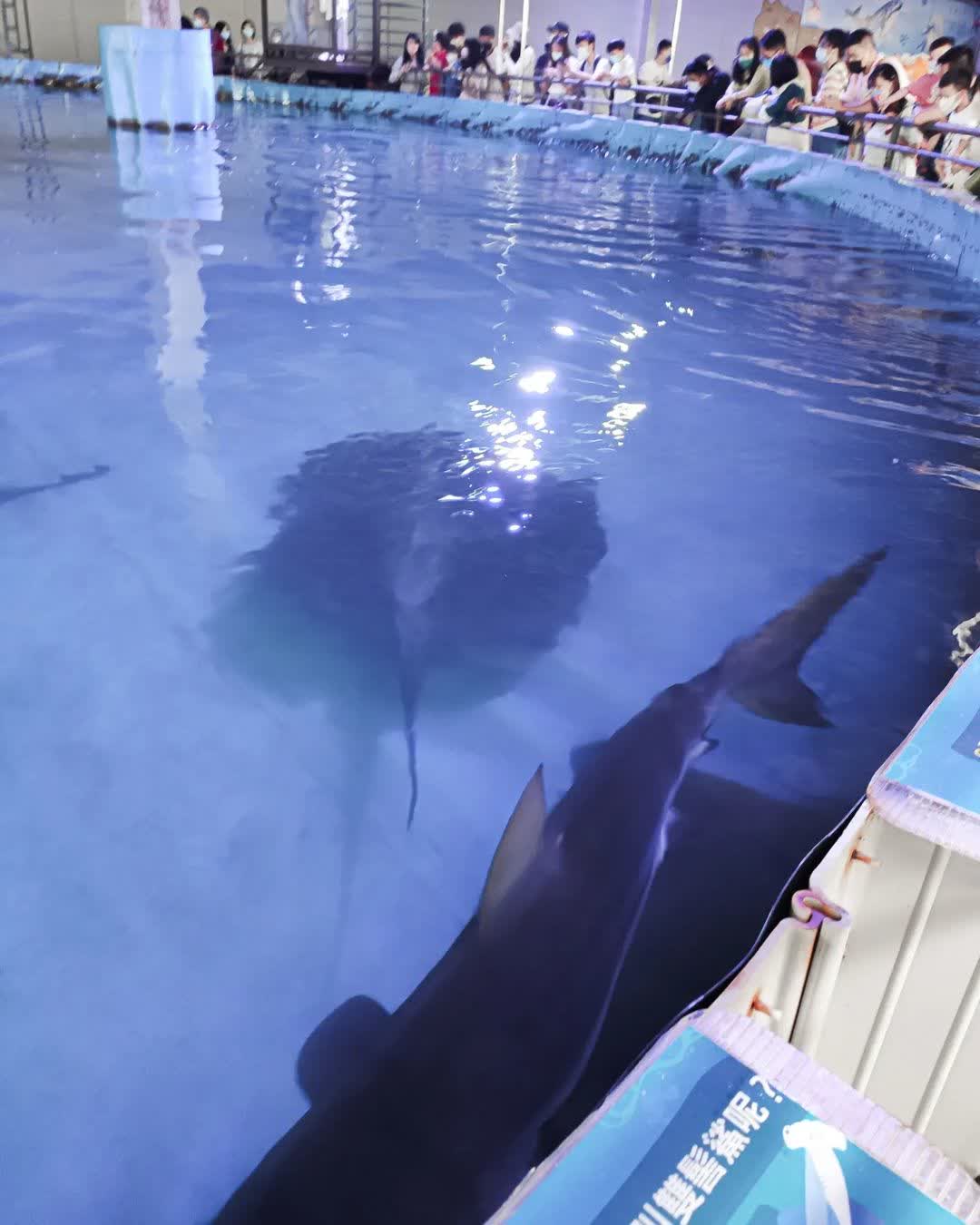 金車生技水產養殖研發中心 | 去趣 chicTrip