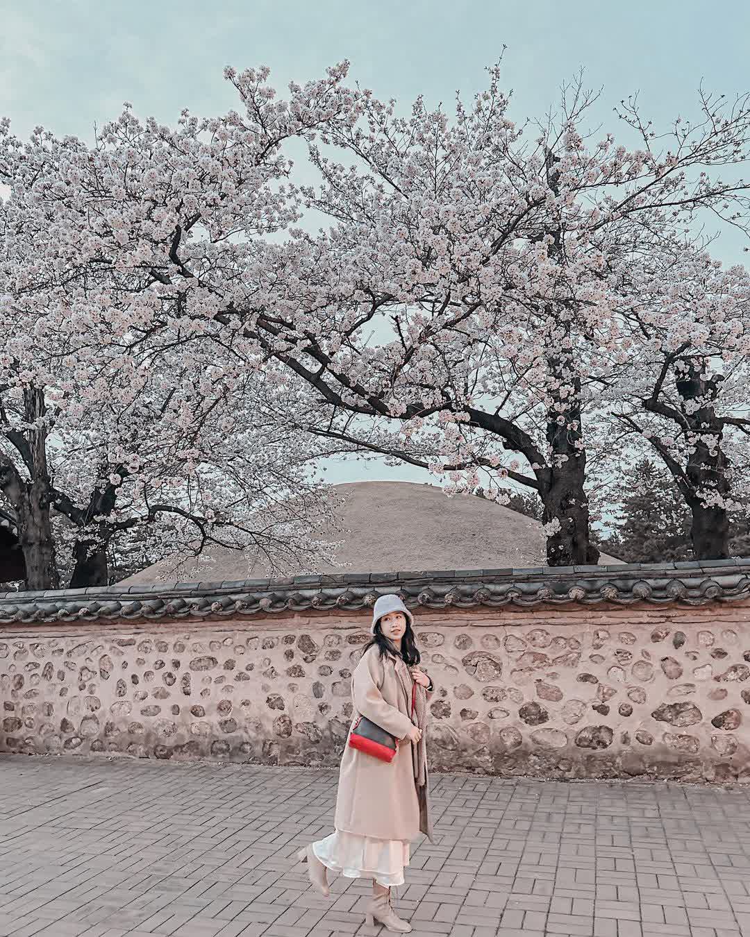 天馬塚 | 去趣 chicTrip