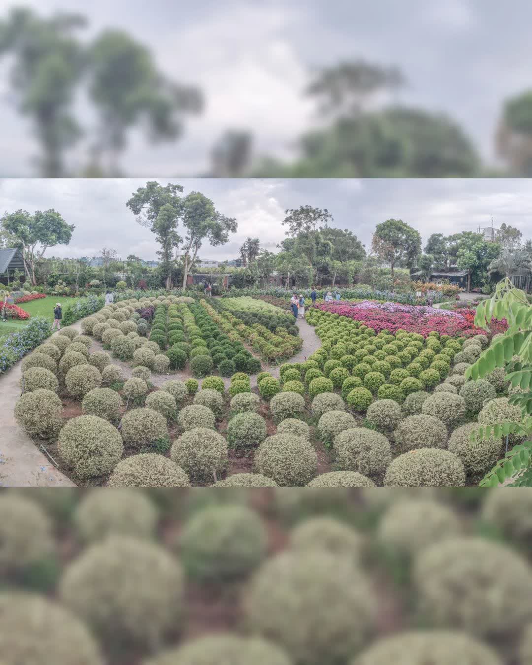 花露農場 Flower Home | 去趣 chicTrip