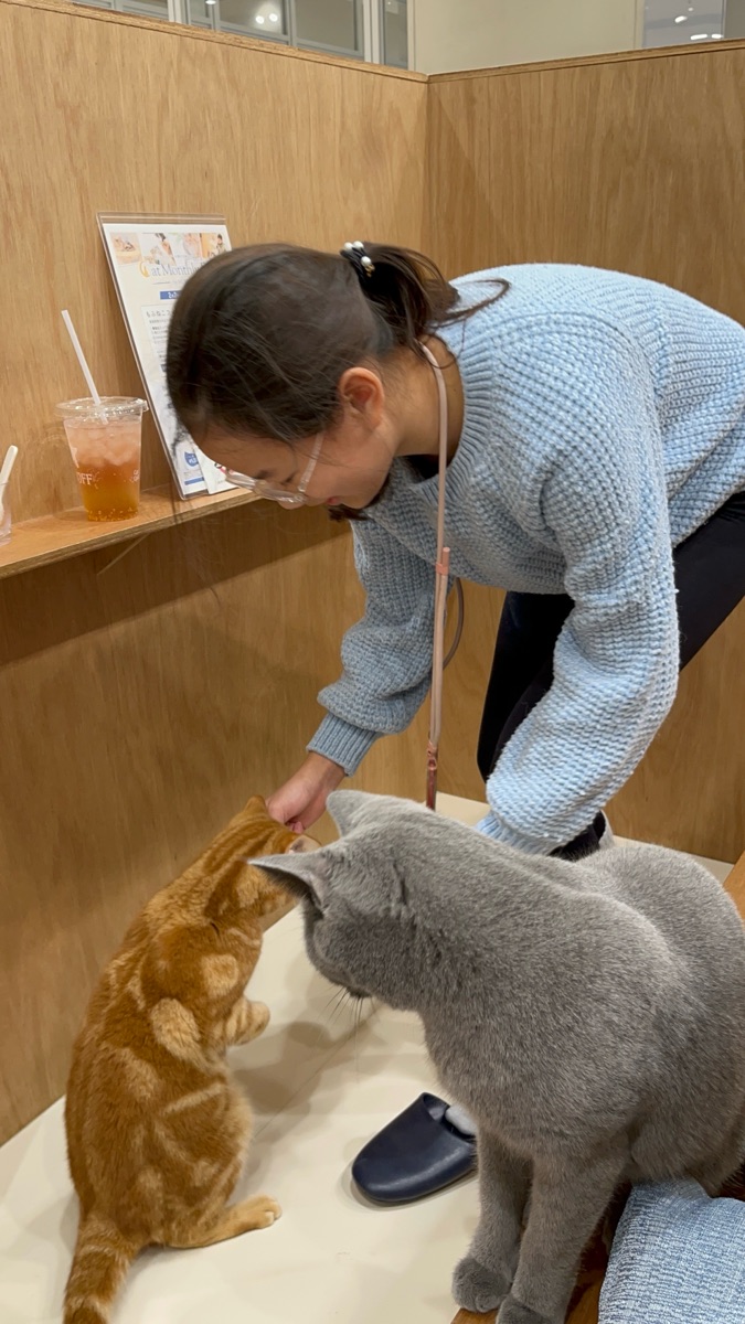 iias 沖繩豐崎 | 去趣 chicTrip