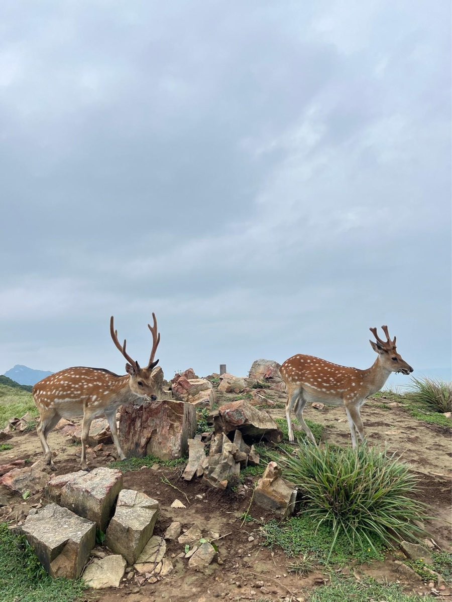 大坵島 | 去趣 chicTrip