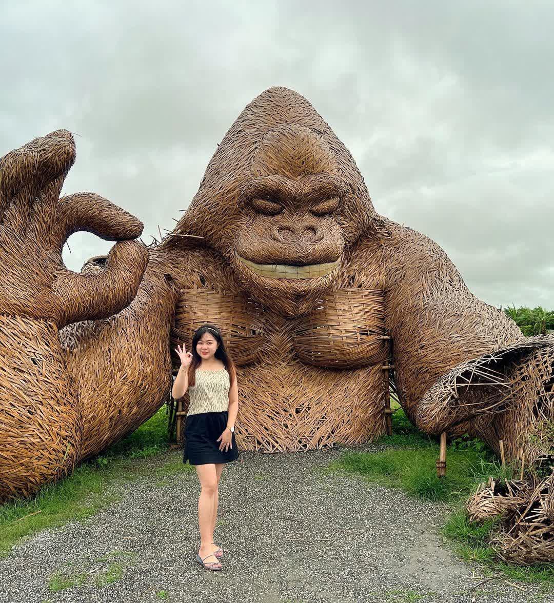 富里花海景觀區  (花蓮縣富里鄉農會旁) | 去趣 chicTrip