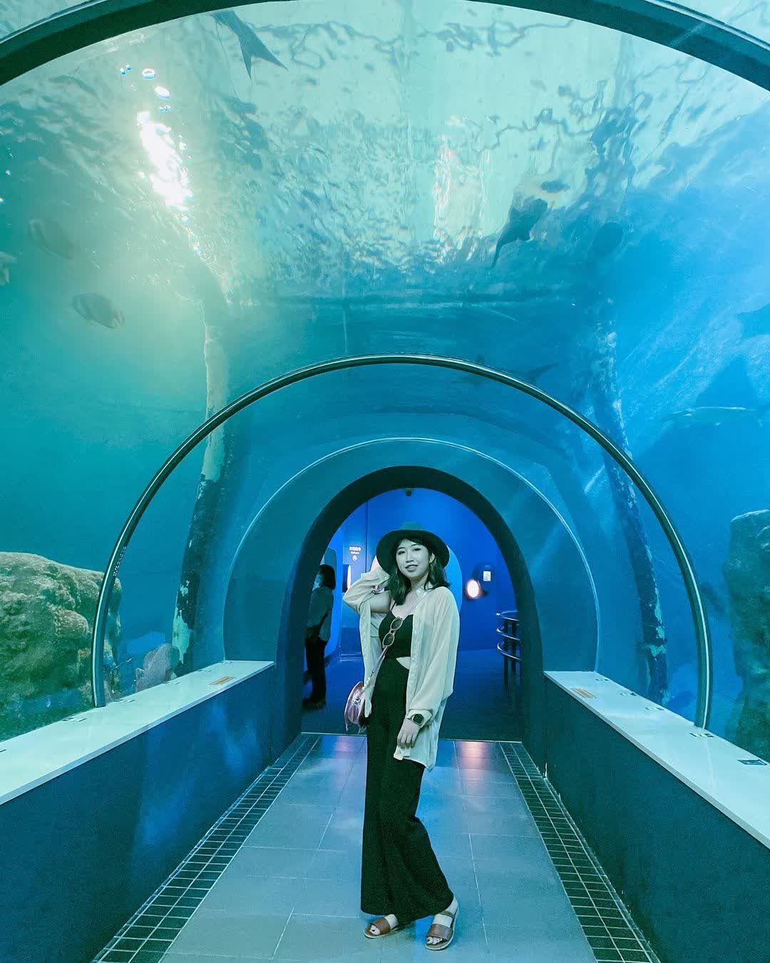 澎湖水族館 | 去趣 chicTrip