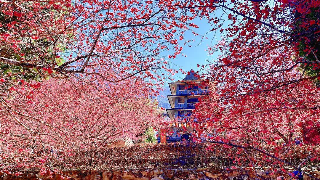 九族文化村 | 去趣 chicTrip