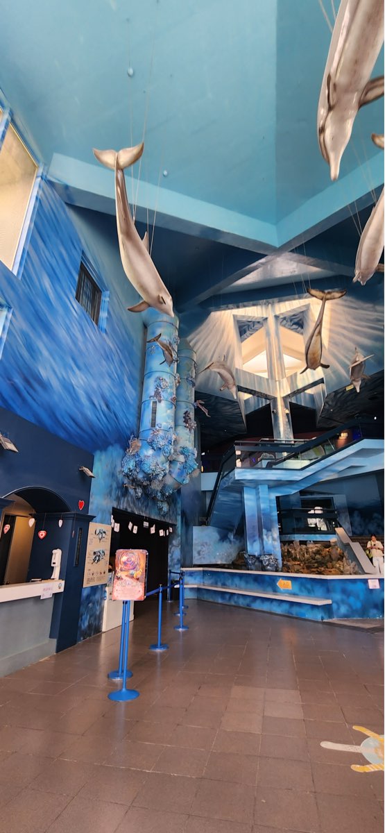 澎湖水族館 | 去趣 chicTrip