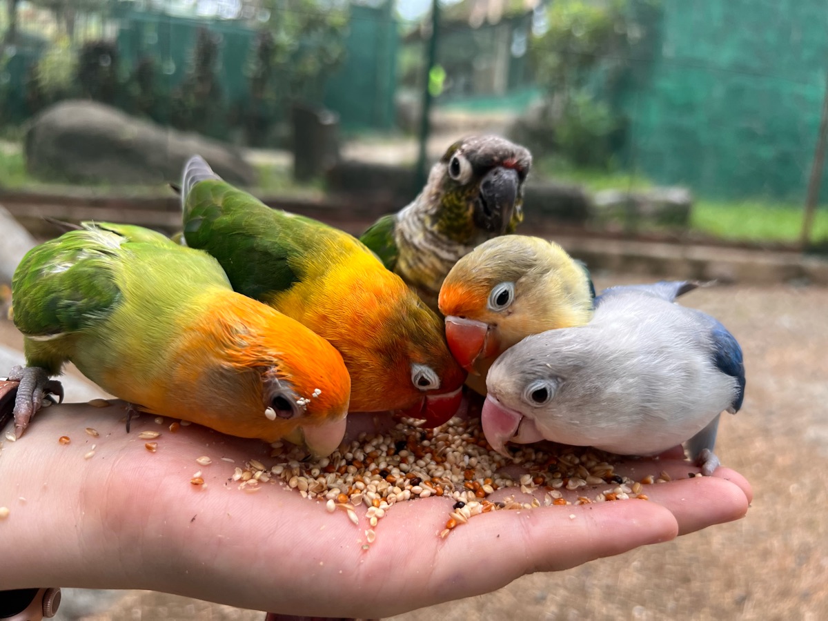 PUGAD Pugo Adventure | 去趣 chicTrip