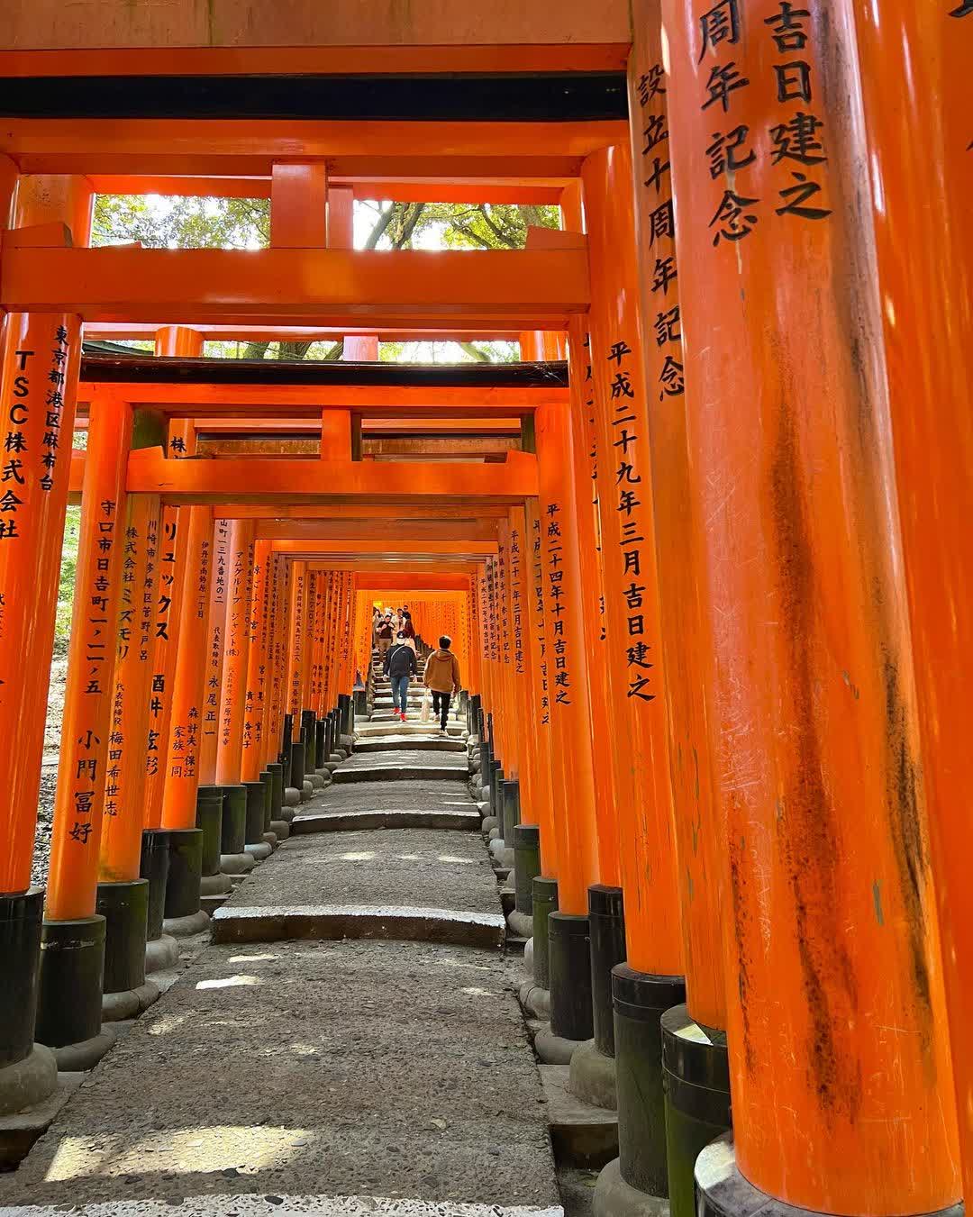 伏見稻荷大社 | 去趣 chicTrip