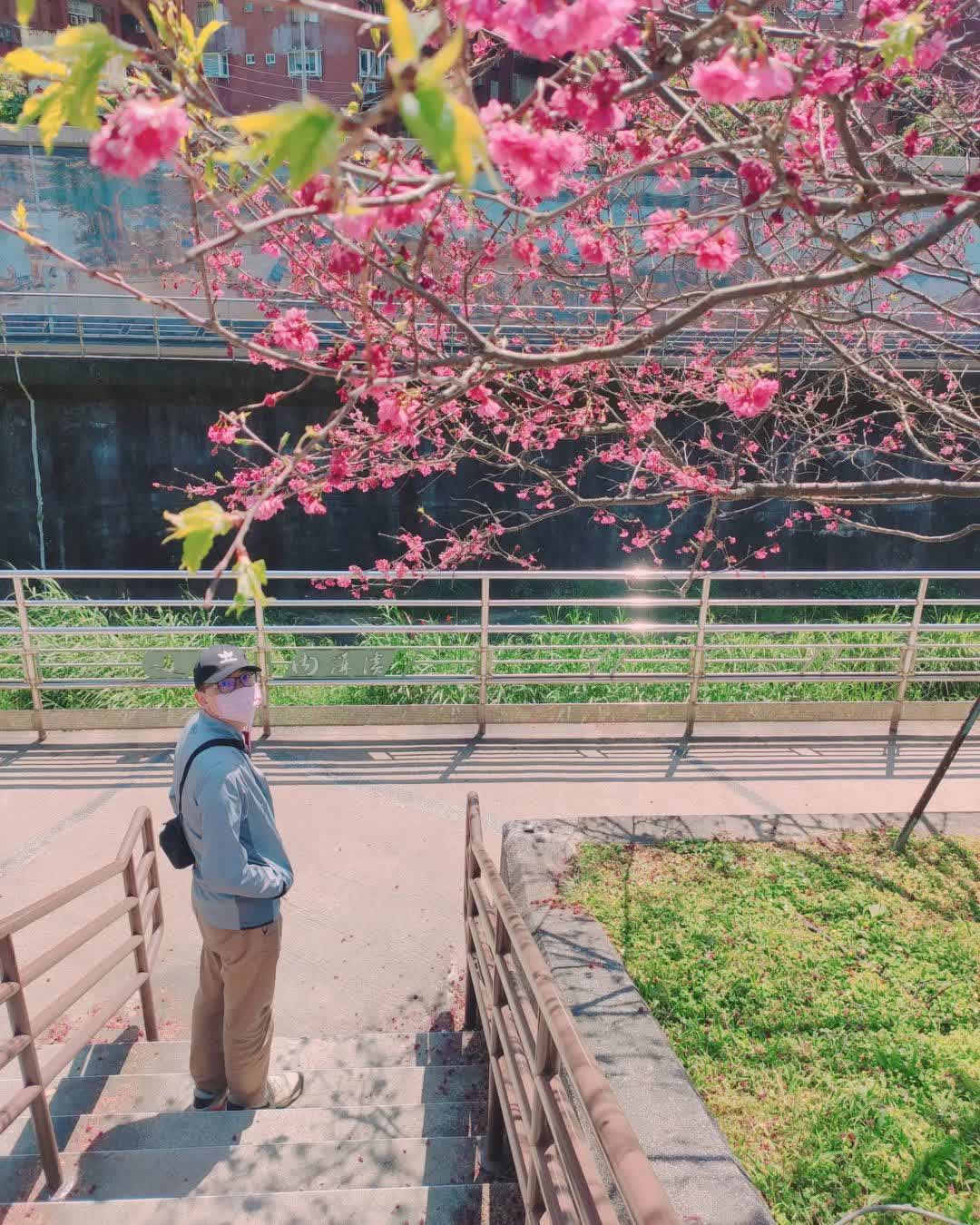 樂活公園 | 去趣 chicTrip