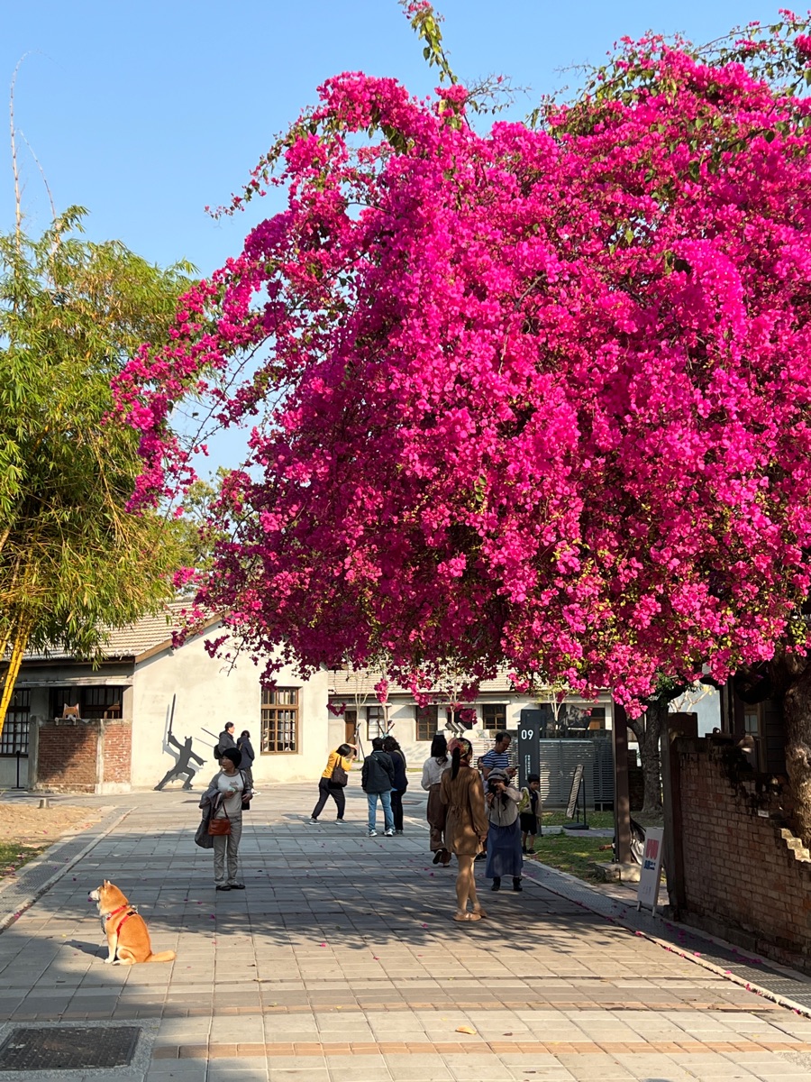 國家漫畫博物館 | 去趣 chicTrip
