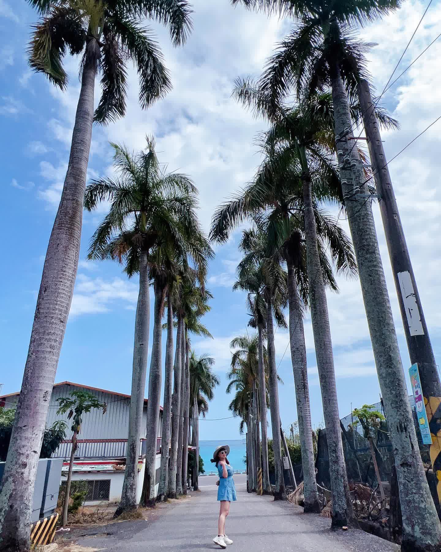 華源椰林大道 | 去趣 chicTrip