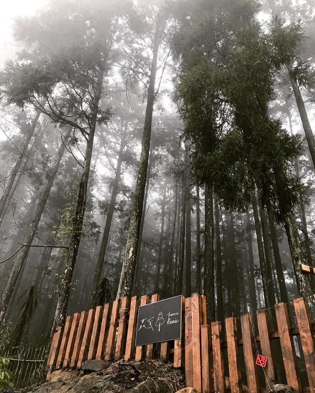 森窯have a Picnic | 去趣 chicTrip