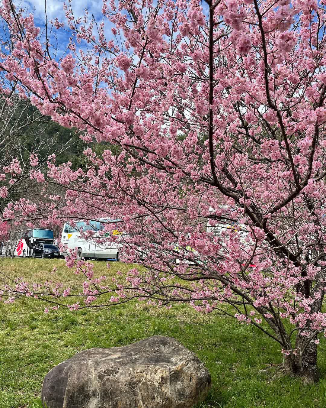 武陵農場 | 去趣 chicTrip