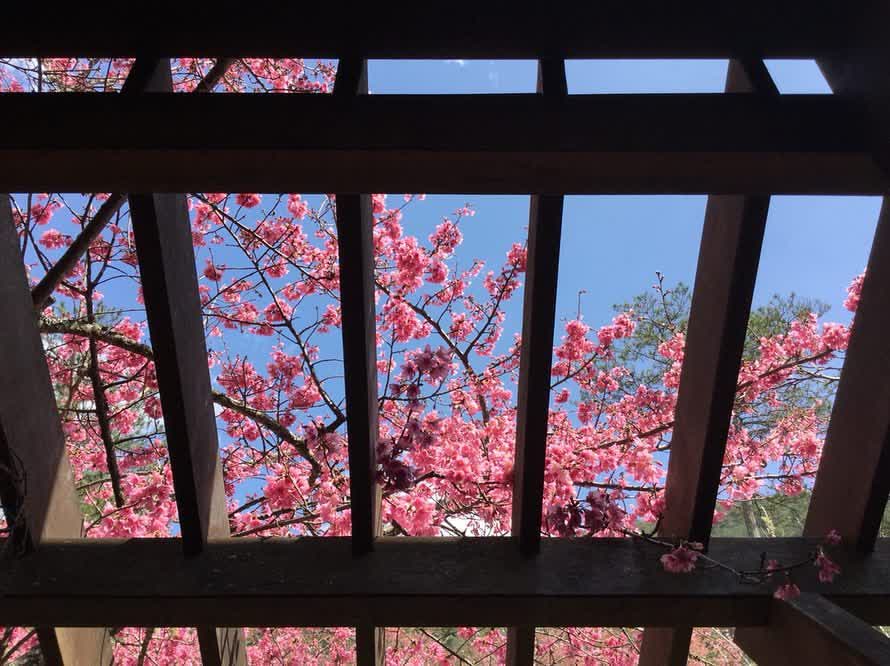 武陵農場 | 去趣 chicTrip