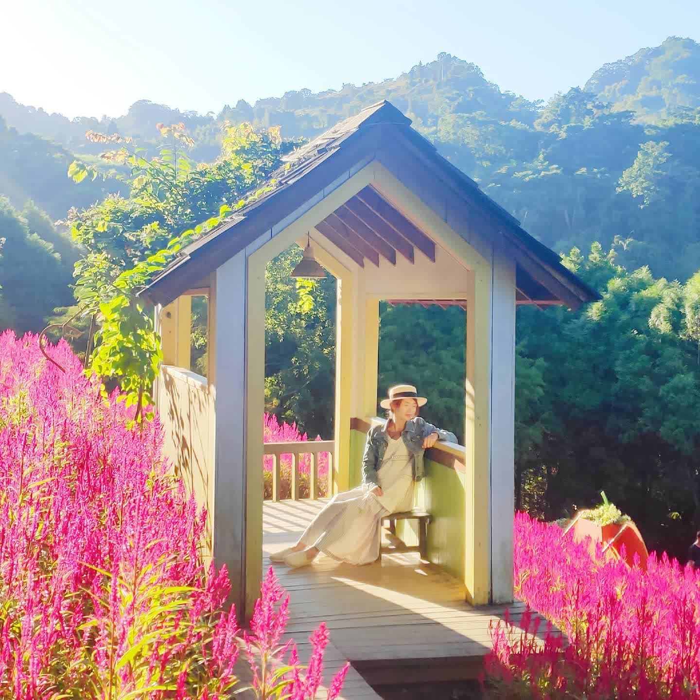 薰衣草森林台中新社店 | 去趣 chicTrip