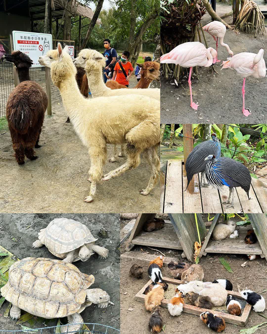 綠世界生態農場 | 去趣 chicTrip