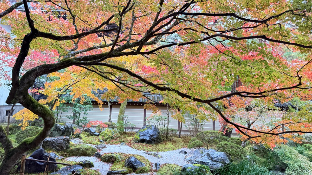 禪林寺永觀堂 | 去趣 chicTrip