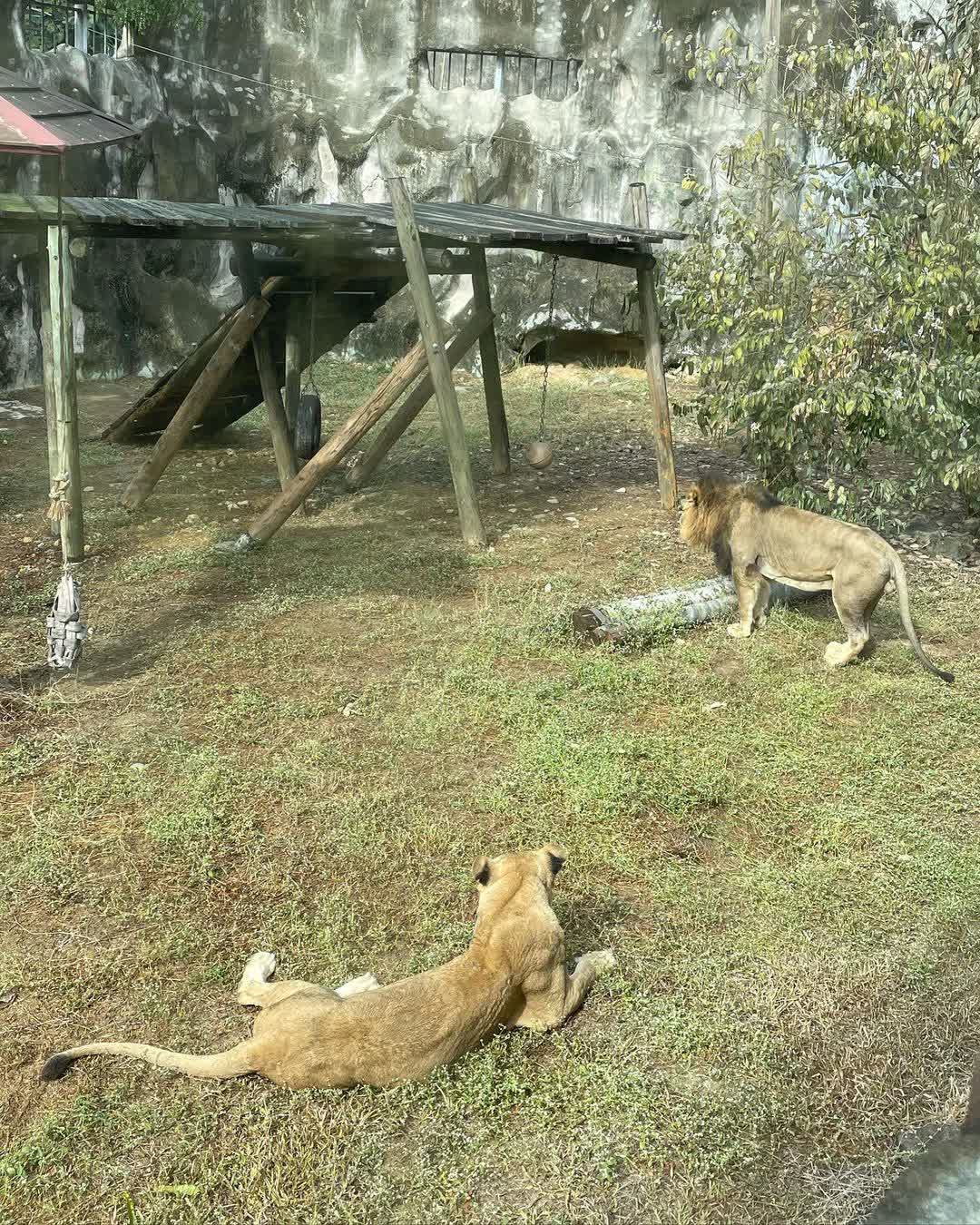 壽山動物園 | 去趣 chicTrip