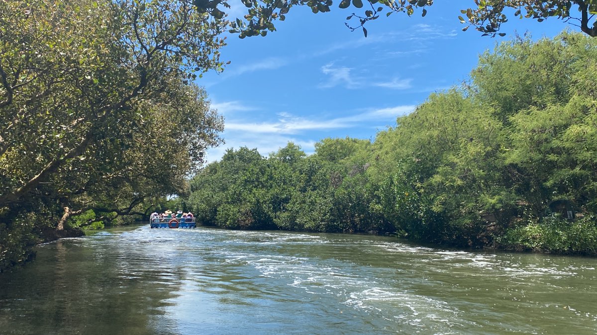 四草綠色隧道 | 去趣 chicTrip