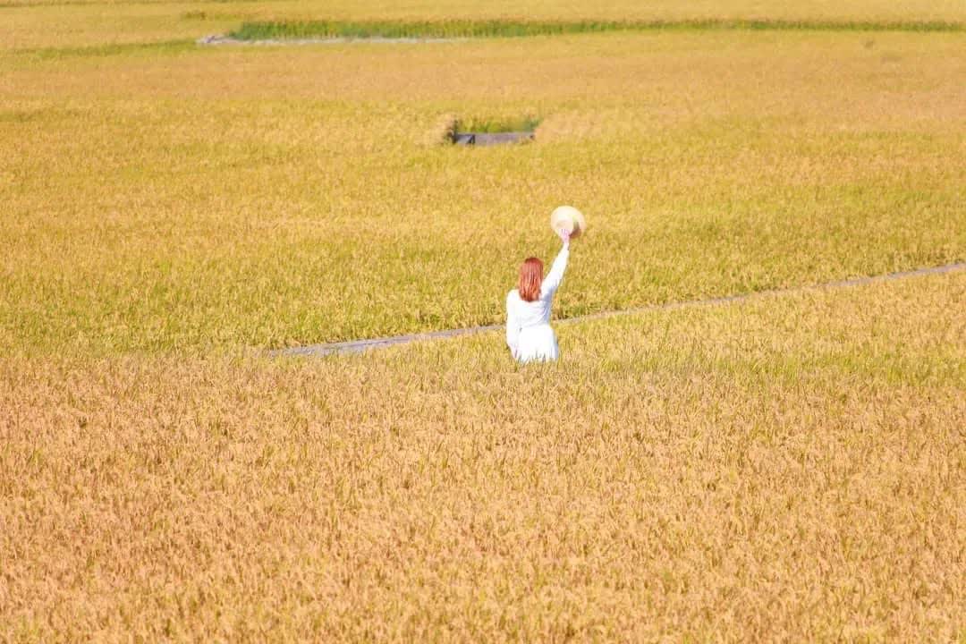 外埔忘憂谷 | 去趣 chicTrip