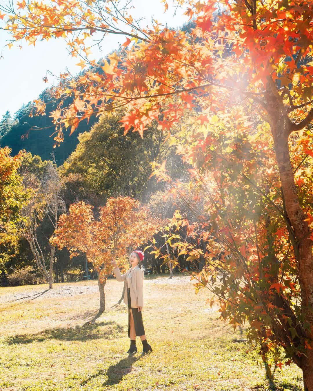 武陵農場 | 去趣 chicTrip