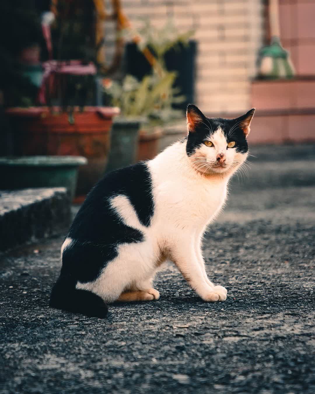 九份 | 去趣 chicTrip