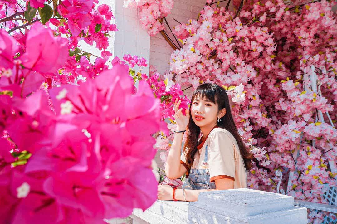 粉紅泡泡 | 去趣 chicTrip