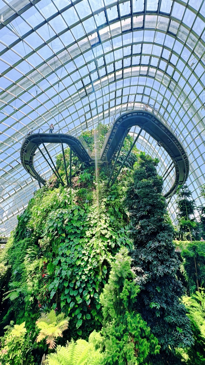 雲霧林 | 去趣 chicTrip