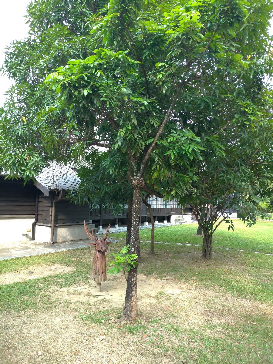 檜意森活村 | 去趣 chicTrip