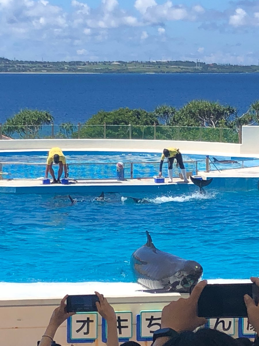 海洋博公園 | 去趣 chicTrip