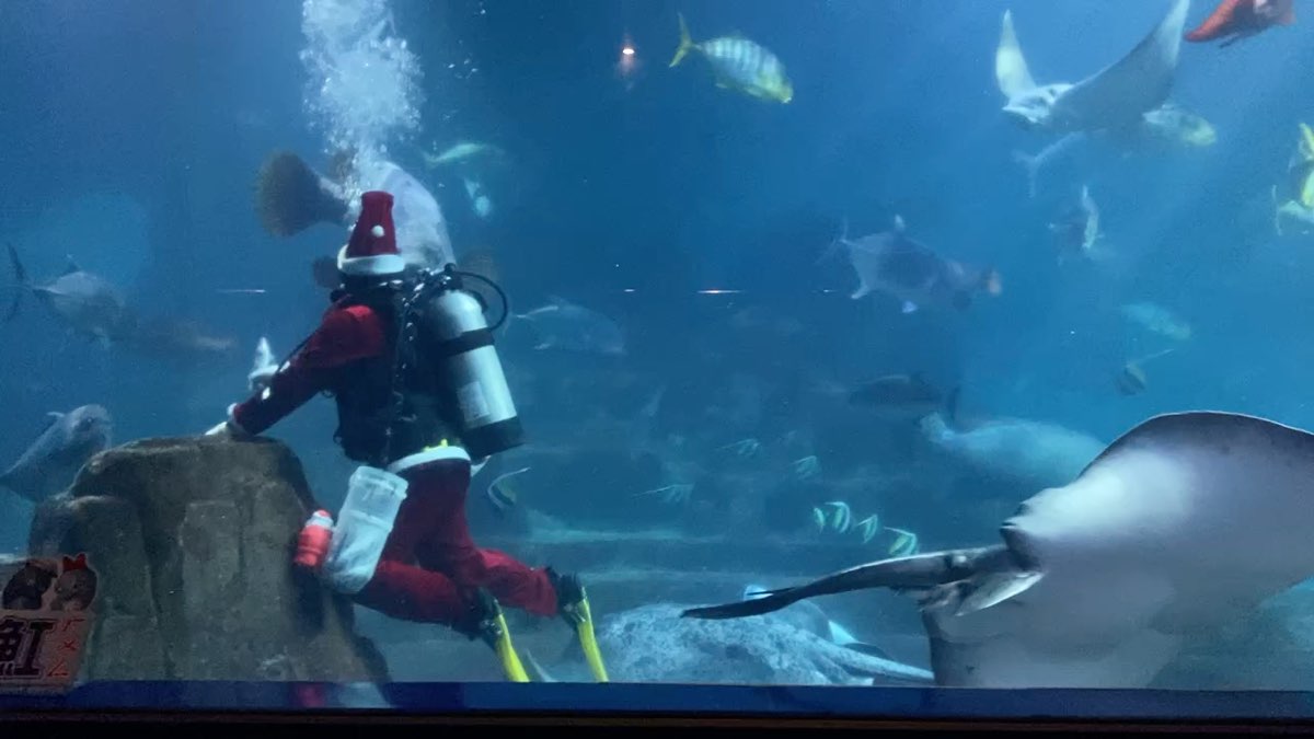 遠雄海洋公園 | 去趣 chicTrip