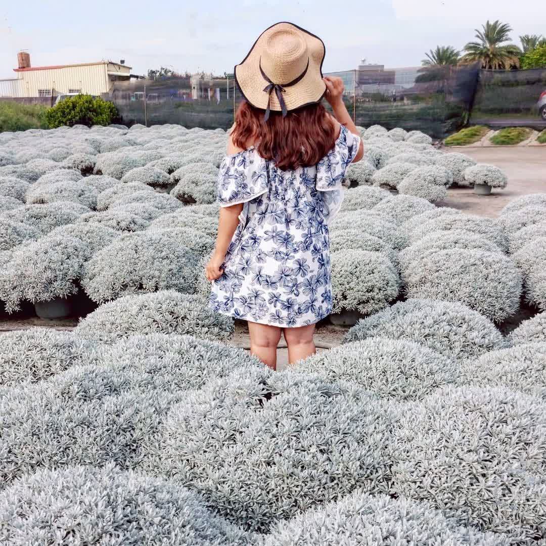 彰化田尾波波草 | 去趣 chicTrip