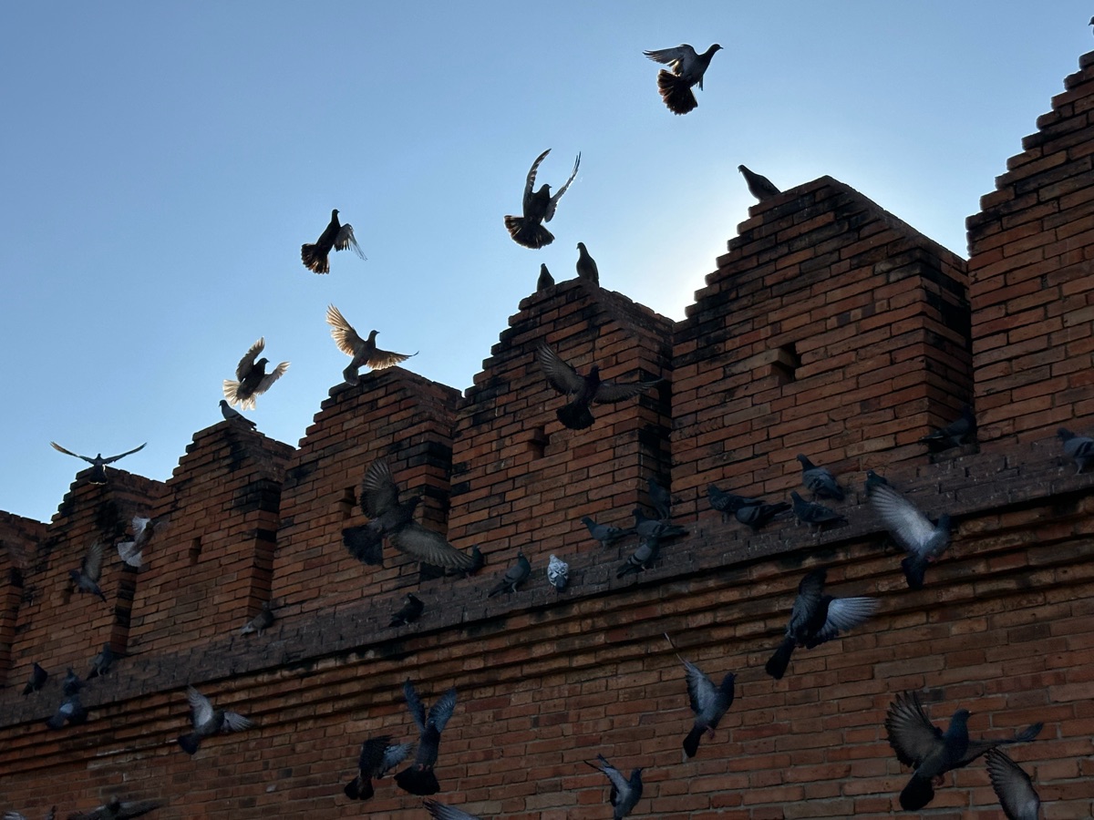 清邁古城塔佩門 | 去趣 chicTrip