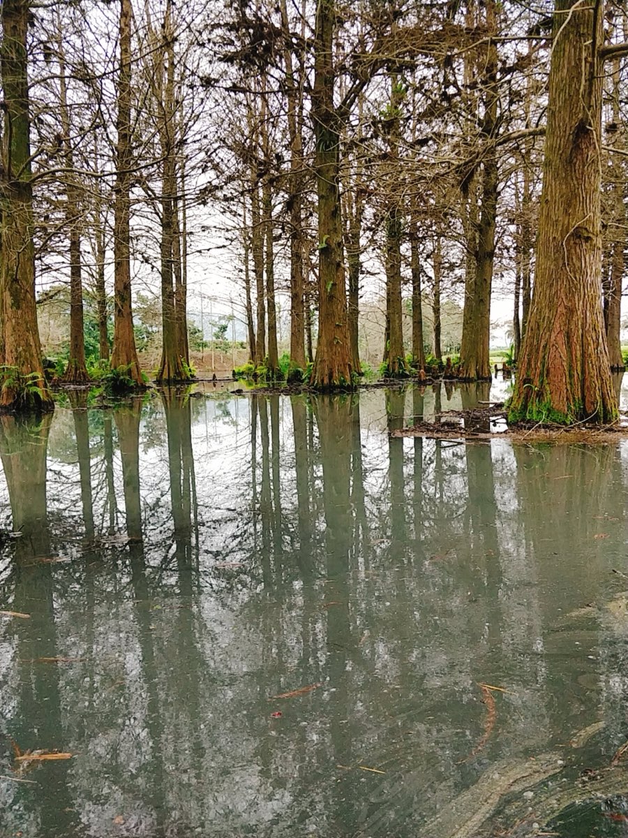 花蓮雲山水夢幻湖 | 去趣 chicTrip