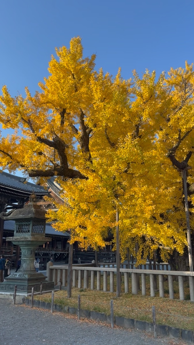 西本願寺 | 去趣 chicTrip