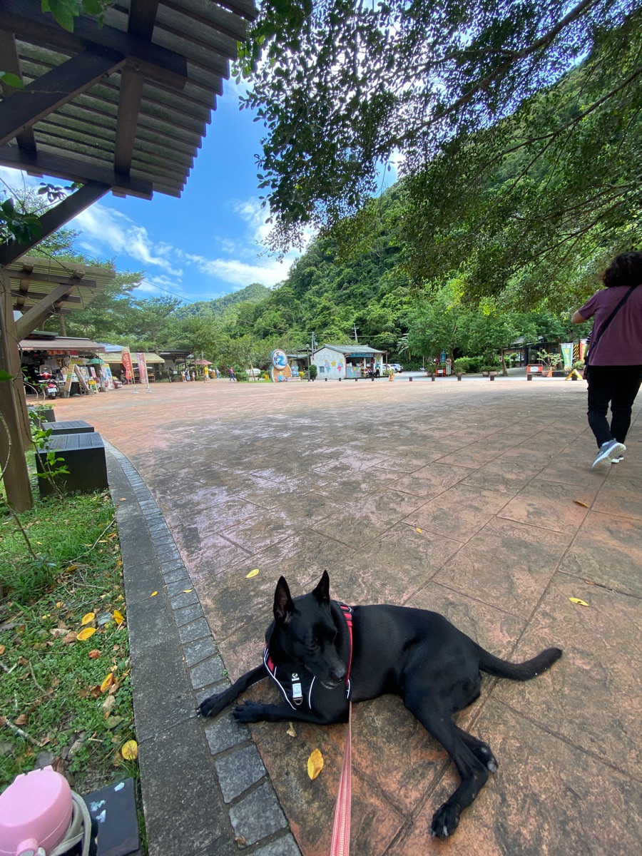 望龍埤花田村湖畔咖啡 | 去趣 chicTrip