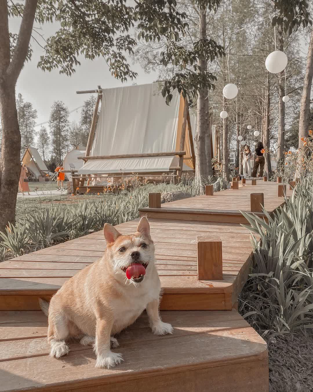 淨園農場 | 去趣 chicTrip