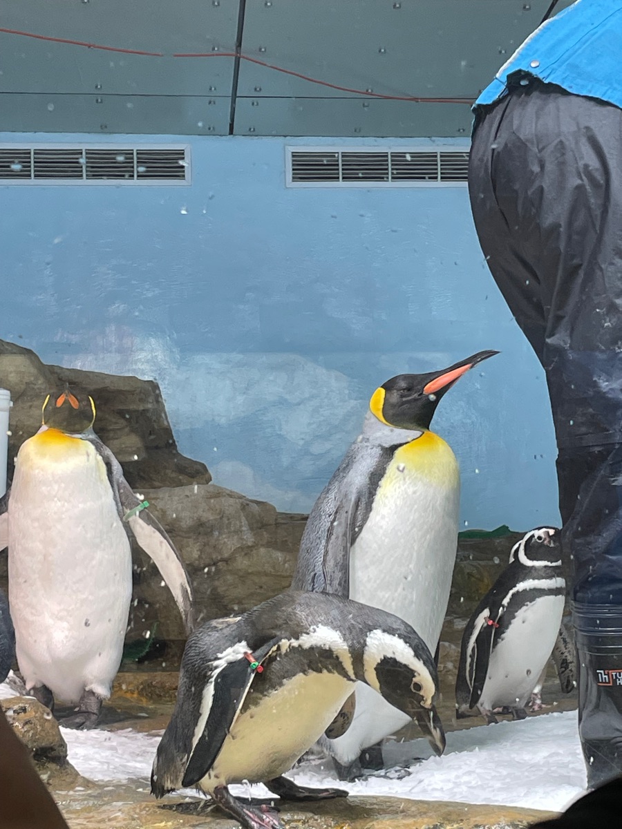 Xpark 水族館 | 去趣 chicTrip