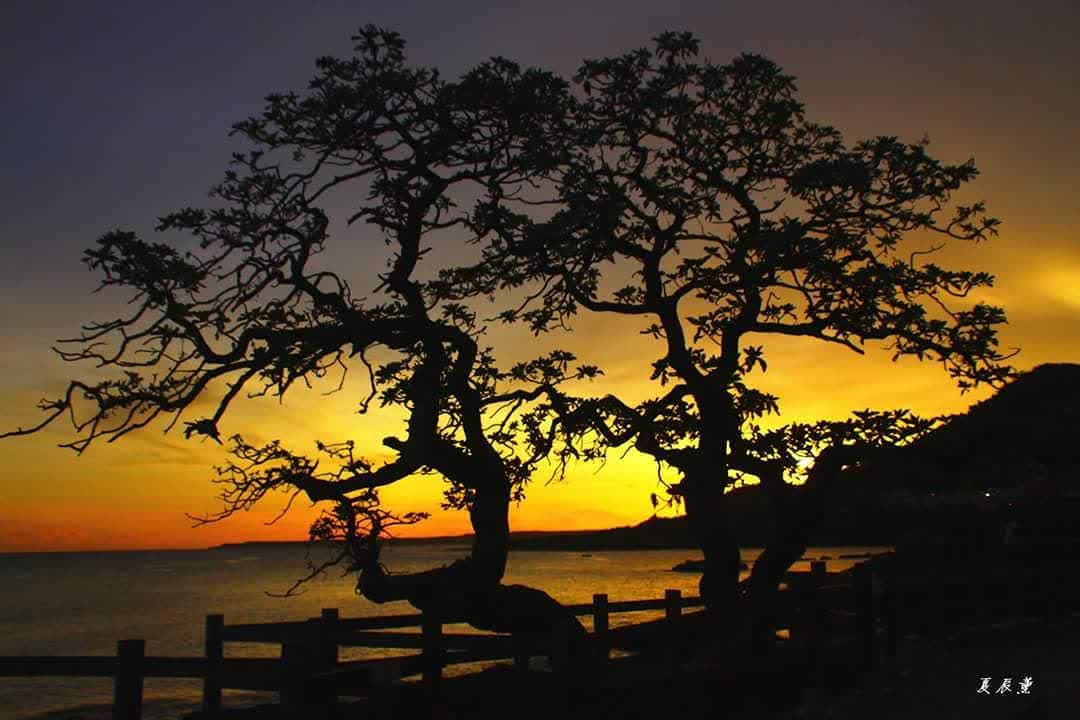 船帆石 | 去趣 chicTrip