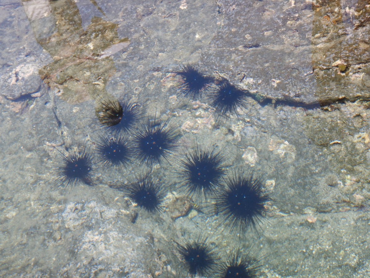 金瓜仔礁（忘憂島） | 去趣 chicTrip