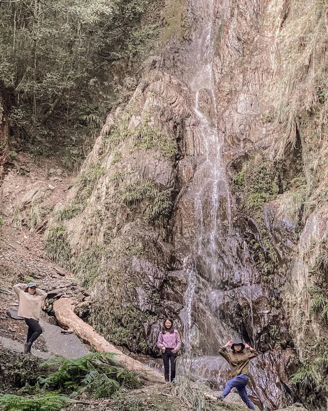 司馬庫斯 | 去趣 chicTrip