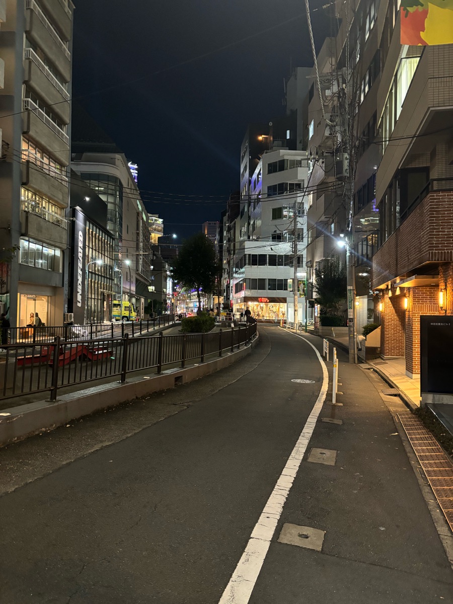 Cat St | 去趣 chicTrip