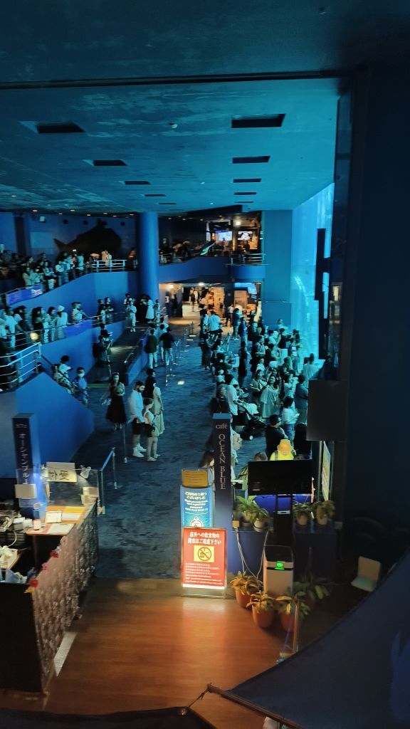 沖繩美麗海水族館 | 去趣 chicTrip