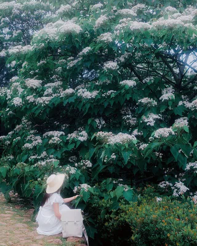 臺灣客家文化館 | 去趣 chicTrip